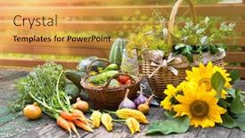  Presentation with organic farming - Presentation design enhanced with gardening-farming-fresh-organic-vegetables background and a yellow colored foreground