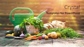  Presentation with organic farming - Presentation design consisting of gardening-farming-fresh-organic-vegetables background and a yellow colored foreground