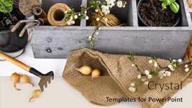  Presentation with farming - Presentation design enhanced with gardening-farming-garden-tools background and a coral colored foreground