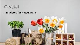  Presentation with farming - Beautiful PPT theme featuring gardening-farming-seedlings-basil backdrop and a light gray colored foreground