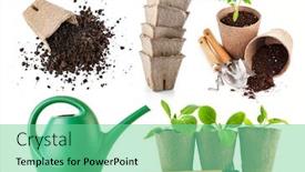  Presentation with farming - Amazing slide set having gardening-farming-seedlings-tomato backdrop and a seafoam green colored foreground