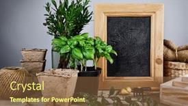  Presentation with farming - PPT theme having gardening-farming-still-life background and a tawny brown colored foreground