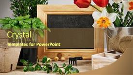  Presentation with farming - Colorful theme enhanced with gardening-farming-still-life backdrop and a tawny brown colored foreground