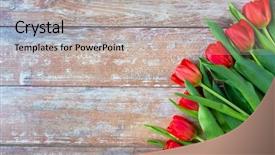  Presentation with card holiday flowers abstract - Cool new presentation with gardening flowers advertisement and holidays backdrop and a light gray colored foreground