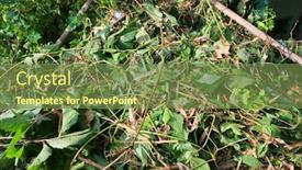  Presentation with compost - Beautiful presentation featuring gardening-in-an-overgrown-garden backdrop and a tawny brown colored foreground