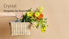  Presentation with hand holding flowers - Slide set with gardening-international-women-s-day background and a lemonade colored foreground