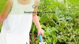  Presentation with vegetable gardening - PPT theme consisting of gardening-lovely-gardener-working background and a yellow colored foreground