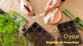  Presentation with home gardening - PPT theme consisting of gardening-planting-at-home-man background and a tawny brown colored foreground