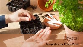  Presentation with home gardening - Beautiful presentation featuring gardening-planting-at-home-man backdrop and a coral colored foreground