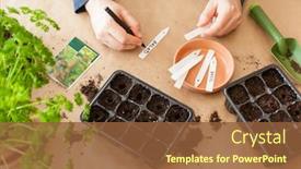  Presentation with home gardening - Audience pleasing PPT theme consisting of gardening-planting-at-home-man backdrop and a tawny brown colored foreground