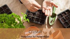  Presentation with home gardening - Amazing slides having gardening-planting-at-home-man backdrop and a coral colored foreground