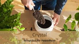  Presentation with home gardening - Beautiful theme featuring gardening-planting-at-home-man backdrop and a yellow colored foreground