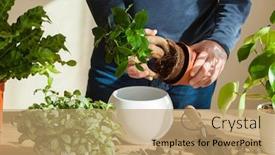  Presentation with home gardening - Theme with gardening-planting-at-home-man background and a coral colored foreground