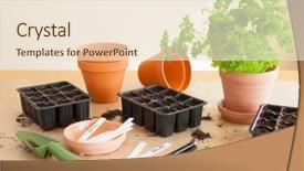  Presentation with home gardening - Colorful presentation theme enhanced with gardening planting at home sowing backdrop and a  colored foreground