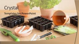  Presentation with home gardening - Audience pleasing presentation design consisting of gardening planting at home sowing backdrop and a  colored foreground