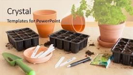  Presentation with home gardening - PPT theme enhanced with gardening planting at home sowing background and a lemonade colored foreground