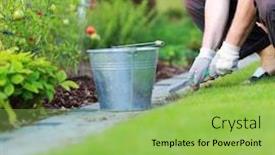  Presentation with weeds - Presentation with gardening-removing-weeds background and a yellow colored foreground