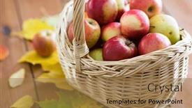  Presentation with season - 