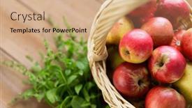  Presentation with season - 