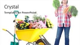  Presentation with gardening - Theme featuring gardening senior woman with vegetables isolated over white background background and a white colored foreground