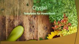  Presentation with garden tools - Theme having gardening shovel - frame of garden tools background and a forest green colored foreground