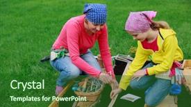  Presentation with seed growing - Audience pleasing presentation theme consisting of gardening sowing seeds backdrop and a forest green colored foreground