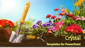  Presentation with gardening - Amazing slide deck having gardening tool and flower backdrop and a tawny brown colored foreground