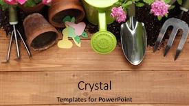  Presentation with gardening - Cool new slide deck with gardening tools and flower backdrop and a coral colored foreground