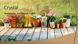  Presentation with botany - Colorful presentation theme enhanced with gardening tools and flowers backdrop and a yellow colored foreground