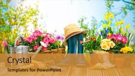  Presentation with gardening - Slides enhanced with gardening tools and flowers background and a gold colored foreground