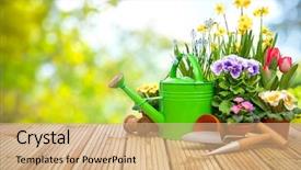  Presentation with gardening - Theme featuring gardening tools and flowers background and a coral colored foreground