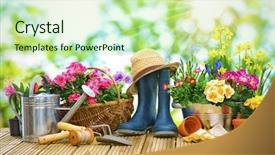  Presentation with gardening - Colorful PPT layouts enhanced with gardening tools and flowers backdrop and a mint green colored foreground