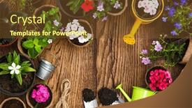  Presentation with gardening - Cool new slide deck with gardening tools and flowers backdrop and a tawny brown colored foreground