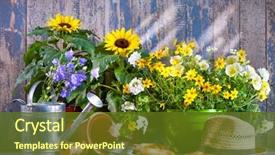  Presentation with gardening - Colorful slides enhanced with gardening tools and flowers backdrop and a tawny brown colored foreground