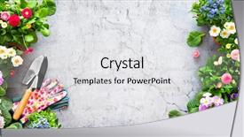  Presentation with gardening - Slide deck featuring gardening tools and spring flowers background and a white colored foreground