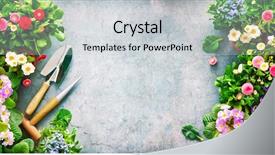 Presentation with gardening - PPT layouts enhanced with gardening tools and spring flowers background and a light gray colored foreground