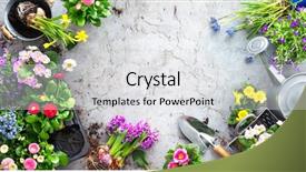  Presentation with gardening - PPT theme consisting of gardening tools and spring flowers background and a light gray colored foreground