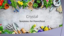  Presentation with spring flowers on textured - Slide set consisting of gardening-tools-and-spring-flowers background and a light gray colored foreground