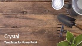  Presentation with gardening - Audience pleasing slides consisting of gardening tools o wooden background backdrop and a violet colored foreground