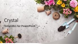  Presentation with gardening - Cool new PPT theme with gardening tools on shale background backdrop and a light gray colored foreground