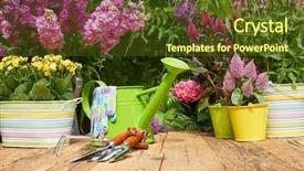  Presentation with wood tools - Amazing PPT theme having gardening tools on the wood backdrop and a tawny brown colored foreground
