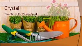  Presentation with gardening tools on fertile soil - Colorful PPT theme enhanced with gardening tools on wooden background backdrop and a  colored foreground