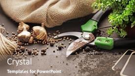  Presentation with plants - Amazing PPT theme having gardening-tools-watering-can-seeds backdrop and a coral colored foreground