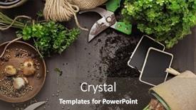  Presentation with plants - Presentation theme with gardening-tools-watering-can-seeds background and a dark gray colored foreground