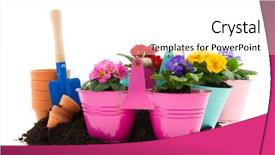  Presentation with flower pots - Presentation with complex the sanctuary of asclepius background and a tawny brown colored foreground