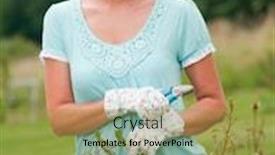  Presentation with gardening - Colorful presentation theme enhanced with gardening - woman cutting the rose bush in the garden backdrop and a gold colored foreground