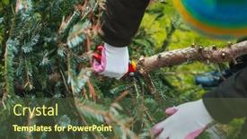  Presentation with christmas tree - PPT theme featuring gardening-work-in-autumn background and a tawny brown colored foreground