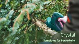  Presentation with christmas tree - Slide set enhanced with gardening-work-in-autumn background and a tawny brown colored foreground