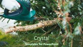  Presentation with christmas tree - Slides consisting of gardening-work-in-autumn background and a tawny brown colored foreground