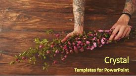  Presentation with sakura japanese cherry branch - PPT theme with gardenparty - sakura branches in female hands background and a  colored foreground